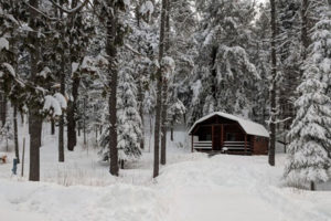 Cozy Cabin Snow