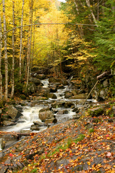 Maine Fall Foliage - PLC_Photo