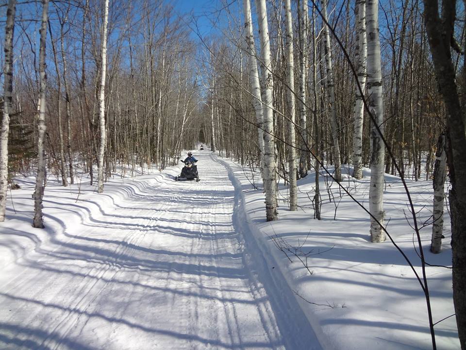 Maine snowmobile trails in the woods