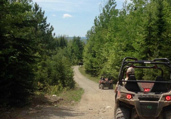 ATV trail Moose crossing