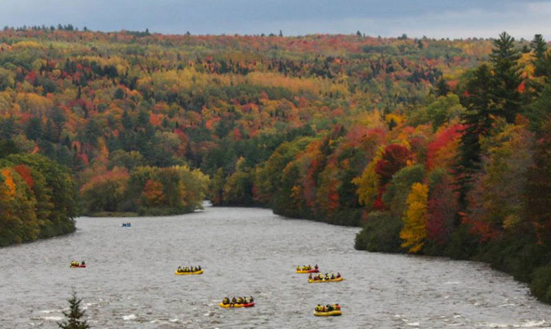 Dead River Rafting, Fall Foliage