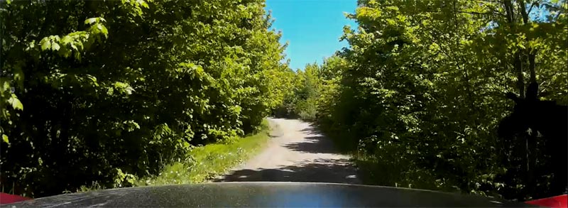 Moose on Maine ATV Trails