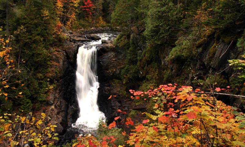 Moxie Falls - Fall Foliage