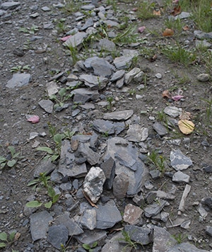 Shale along the road that can slice through tires.