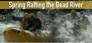 spring rafting dead