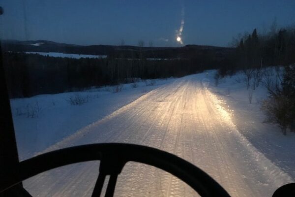 Groomer at night moon