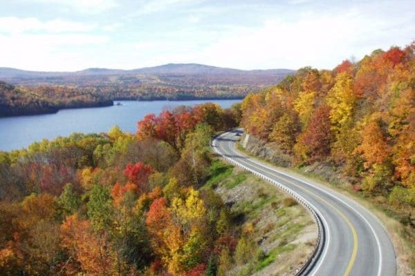 Scenic byway foliage
