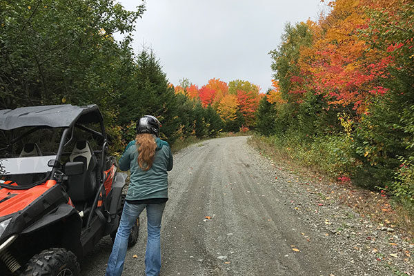 ATV on the trail Foliage