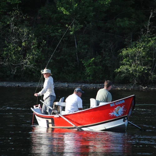 penobscot guided fishing
