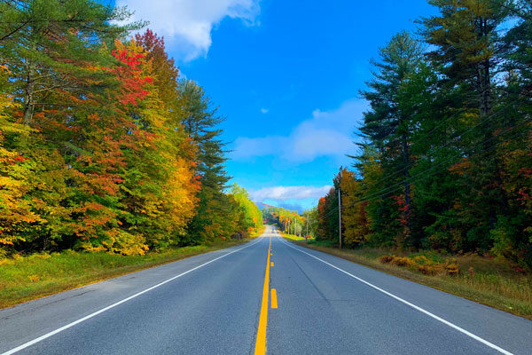route 201 foliage