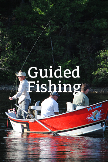 Guide Fishing boat on the Penobscot